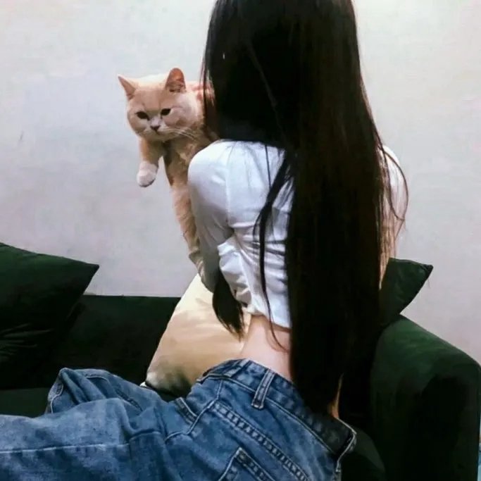 不止不休